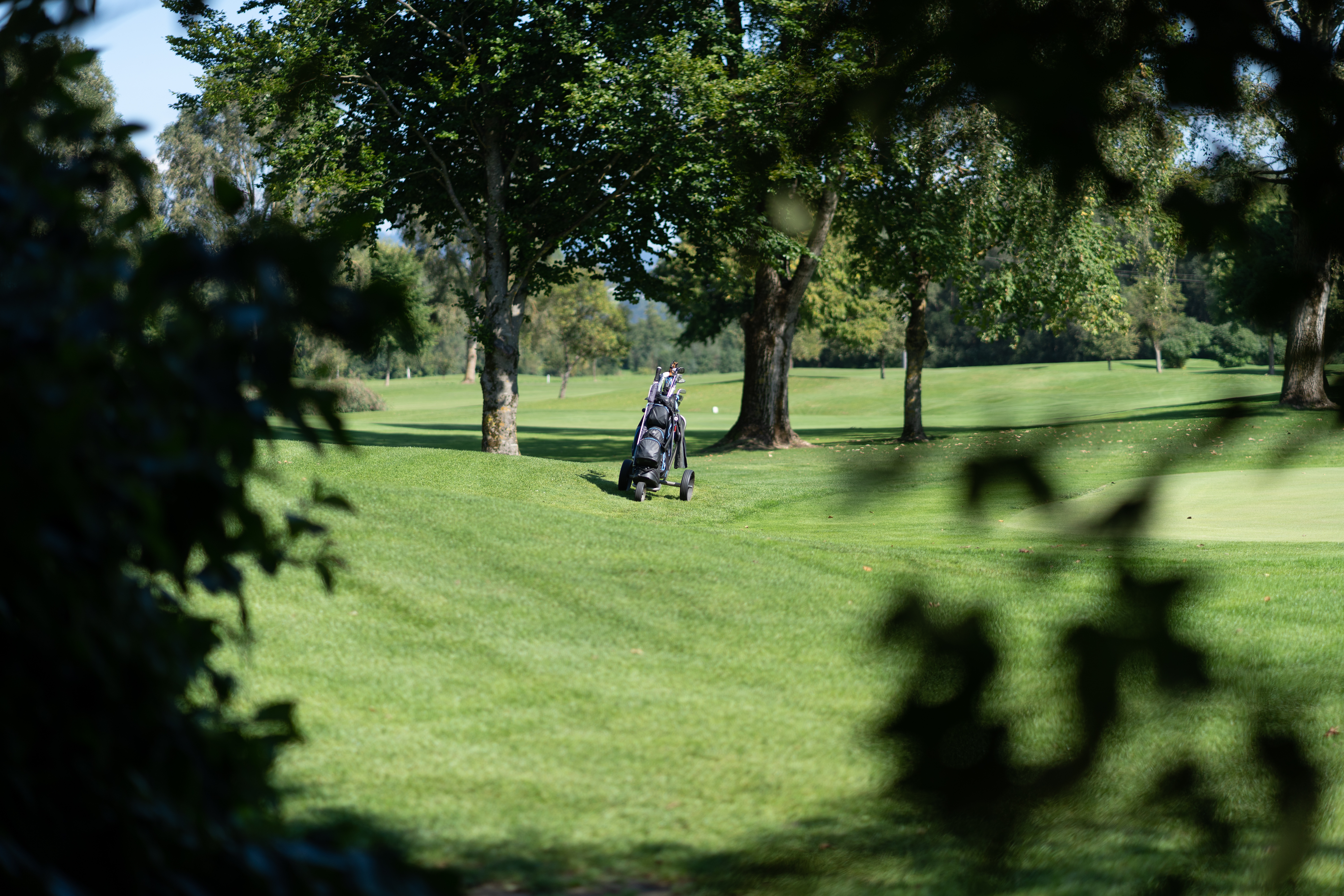 A golf bag on a golf course looking through some green trees